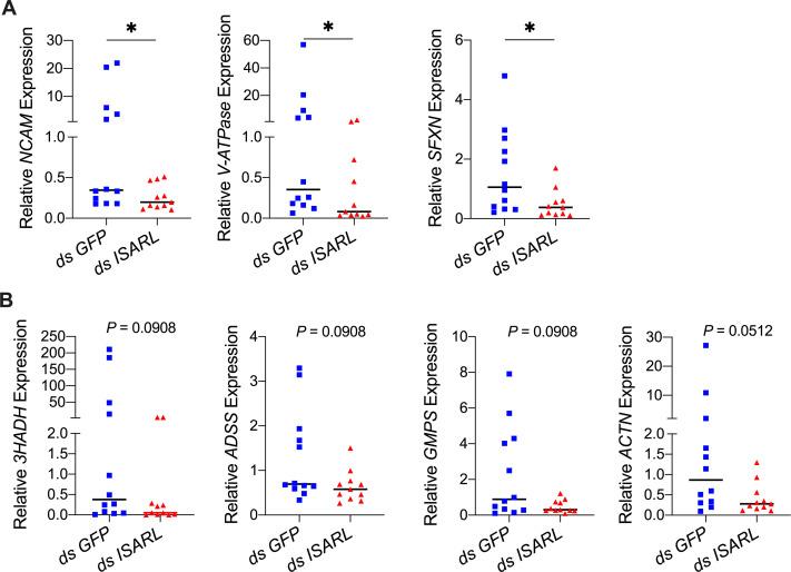 https://cdn.ncbi.nlm.nih.gov/pmc/blobs/9ea3/8639152/011205aaae44/elife-72568-fig2-figsupp2.jpg