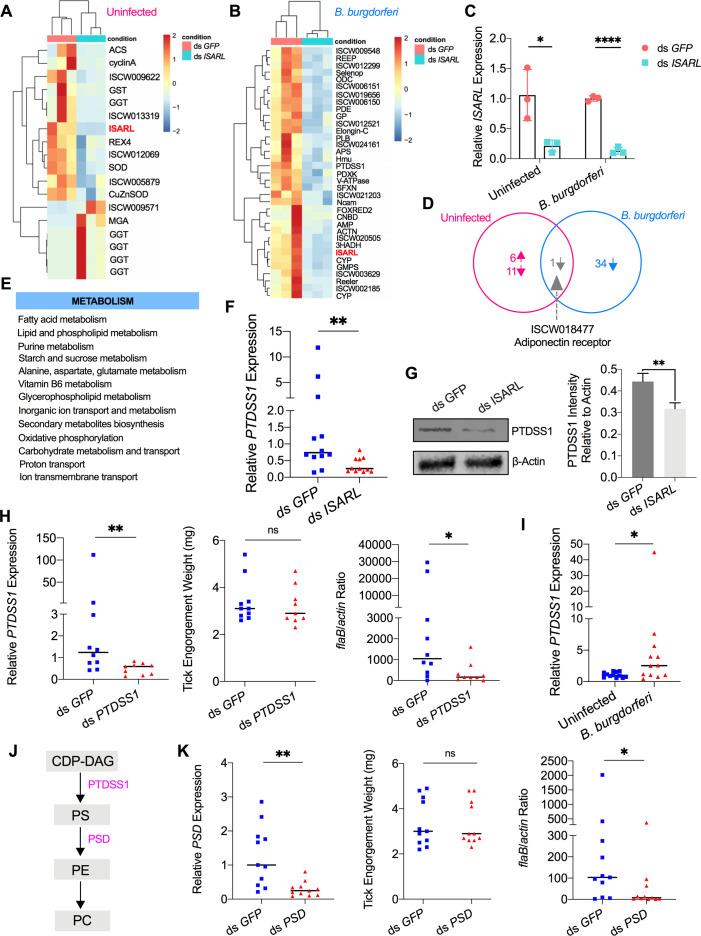 https://cdn.ncbi.nlm.nih.gov/pmc/blobs/9ea3/8639152/08c814240553/elife-72568-fig2.jpg