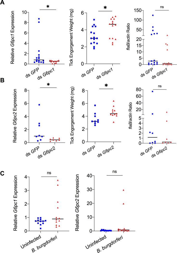 https://cdn.ncbi.nlm.nih.gov/pmc/blobs/9ea3/8639152/4263b75e1734/elife-72568-fig3-figsupp1.jpg