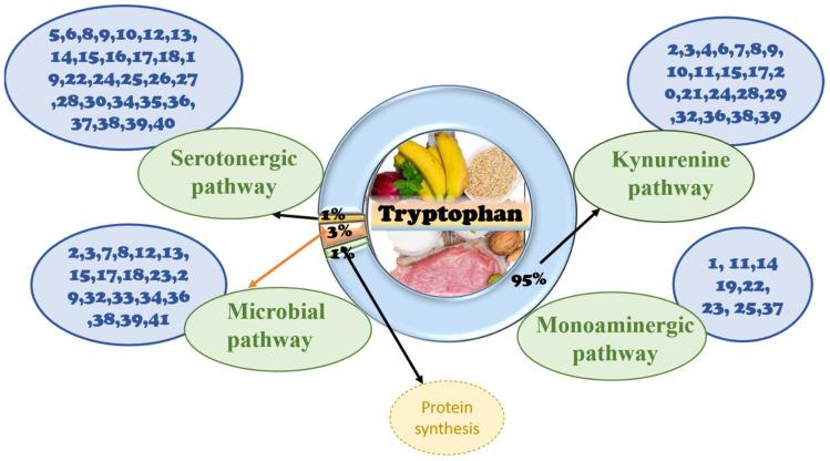 https://cdn.ncbi.nlm.nih.gov/pmc/blobs/9ea4/9413544/1ae0e6fe86ca/nutrients-14-03270-g007.jpg