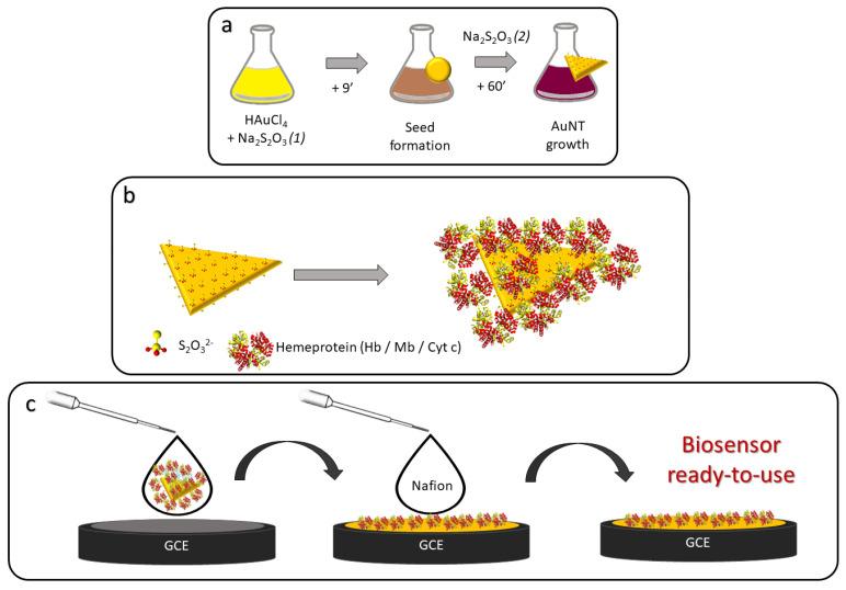 https://cdn.ncbi.nlm.nih.gov/pmc/blobs/9ebf/10136871/9b27c8ba8ab1/biosensors-13-00467-sch001.jpg