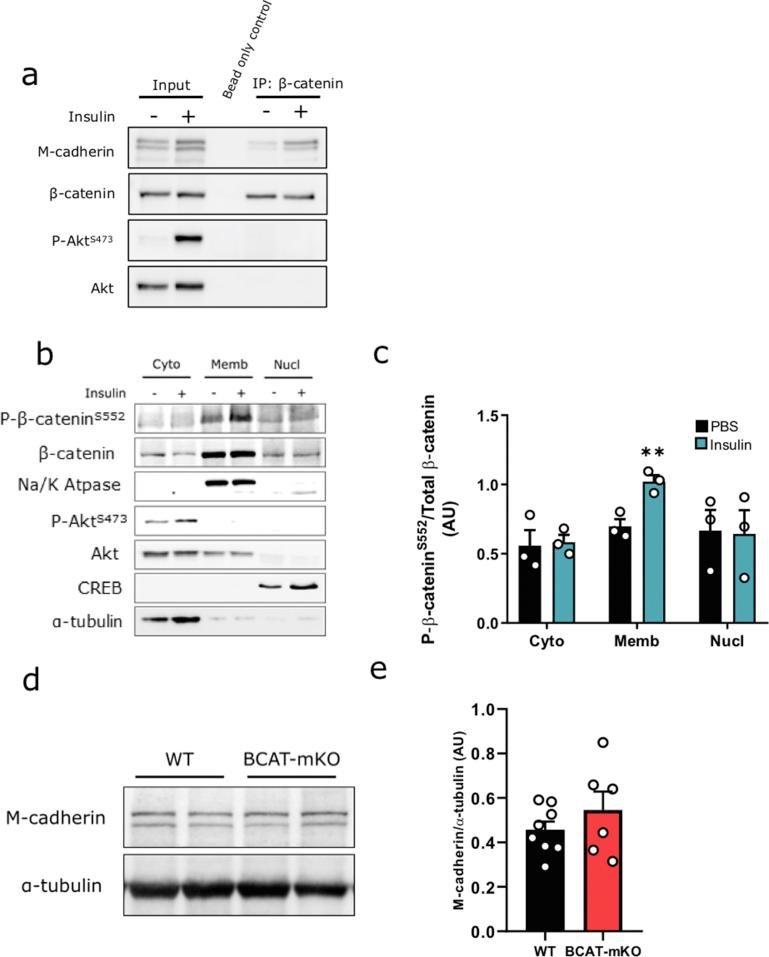 https://cdn.ncbi.nlm.nih.gov/pmc/blobs/9eca/7568189/1197ac594b61/figs3.jpg
