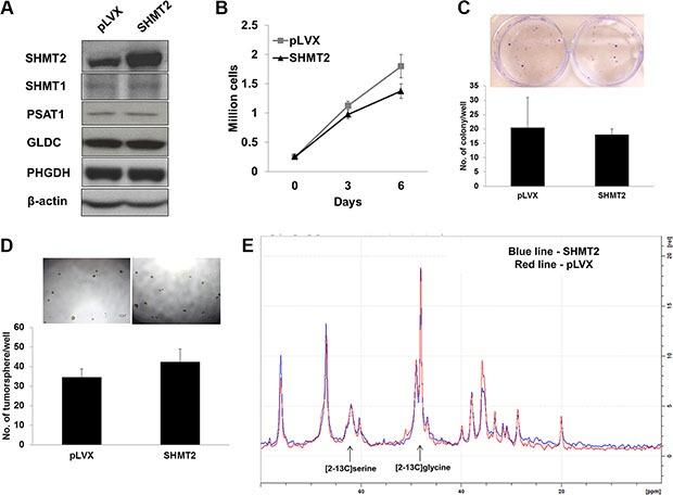 https://cdn.ncbi.nlm.nih.gov/pmc/blobs/9ed4/5288164/d564473261ad/oncotarget-07-53005-g005.jpg