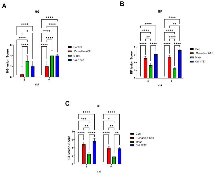 https://cdn.ncbi.nlm.nih.gov/pmc/blobs/9ede/10974418/0420aa2557a7/viruses-16-00326-g005.jpg