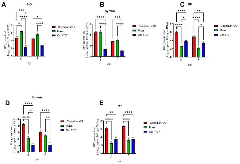 https://cdn.ncbi.nlm.nih.gov/pmc/blobs/9ede/10974418/371a791e0de8/viruses-16-00326-g002.jpg