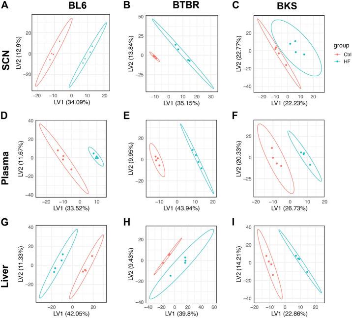 https://cdn.ncbi.nlm.nih.gov/pmc/blobs/9ee9/9441493/2ed3797ed611/fphys-13-921942-g002.jpg