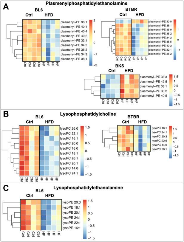 https://cdn.ncbi.nlm.nih.gov/pmc/blobs/9ee9/9441493/866c41759366/fphys-13-921942-g006.jpg