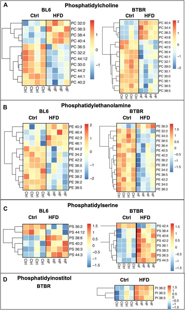 https://cdn.ncbi.nlm.nih.gov/pmc/blobs/9ee9/9441493/8a7d8b92b3ad/fphys-13-921942-g004.jpg