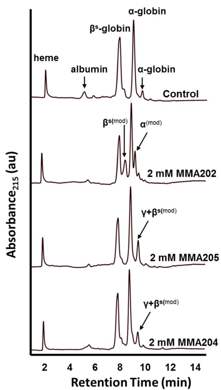 https://cdn.ncbi.nlm.nih.gov/pmc/blobs/9eee/7693414/6d0cc4f2b7f1/biomolecules-10-01508-g006.jpg