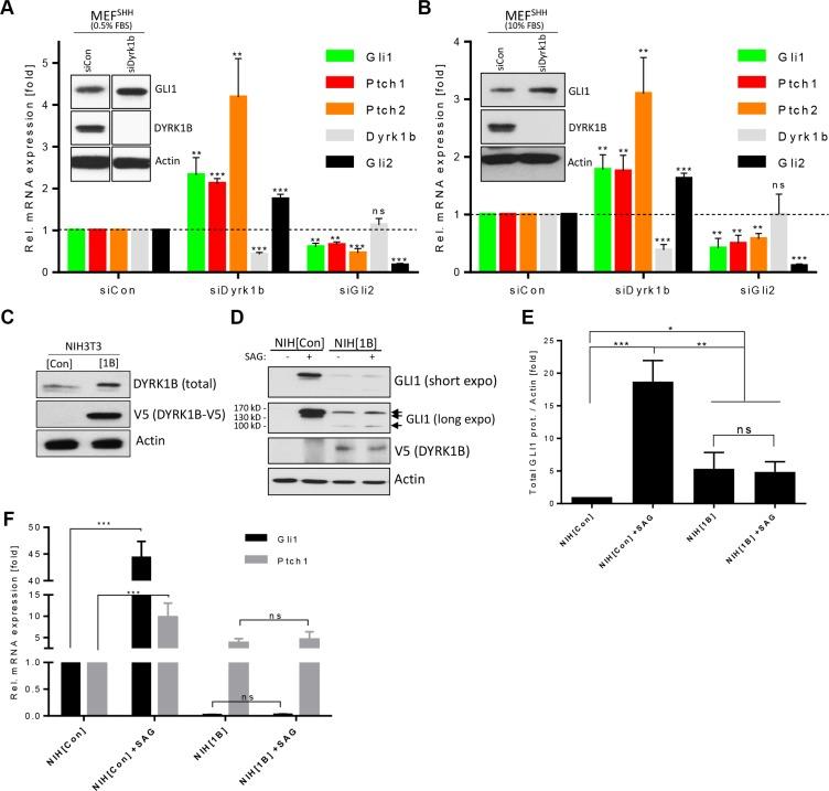 https://cdn.ncbi.nlm.nih.gov/pmc/blobs/9f25/5352201/8625f7887d36/oncotarget-08-833-g001.jpg