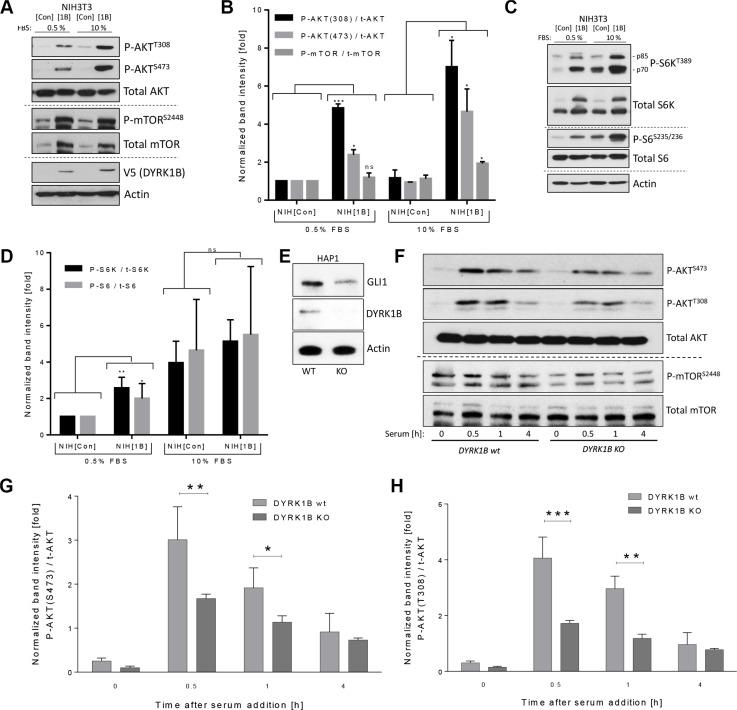 https://cdn.ncbi.nlm.nih.gov/pmc/blobs/9f25/5352201/d36f13372a96/oncotarget-08-833-g003.jpg