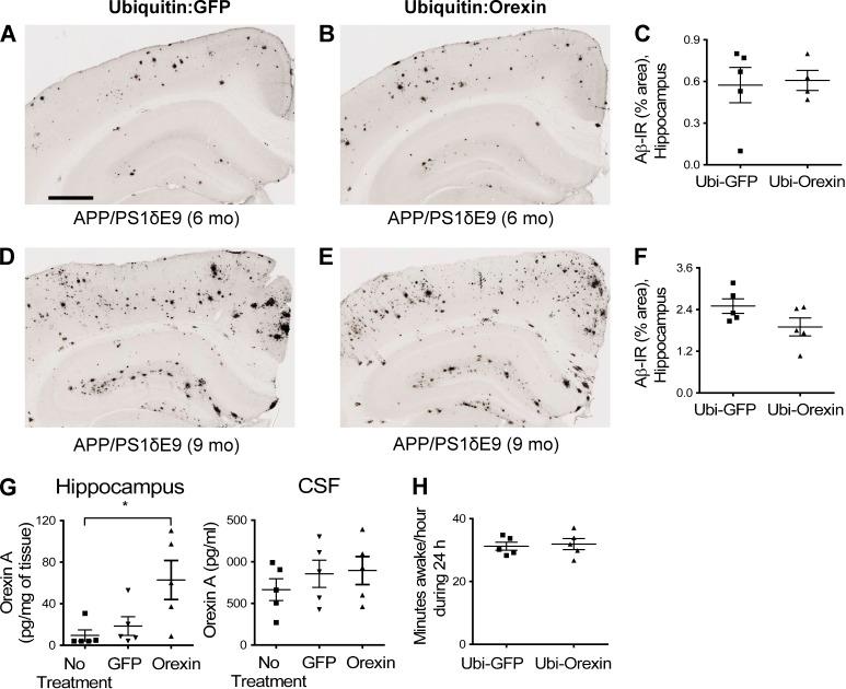https://cdn.ncbi.nlm.nih.gov/pmc/blobs/9f2c/4267230/02d3140fda3a/JEM_20141788R_Fig4.jpg