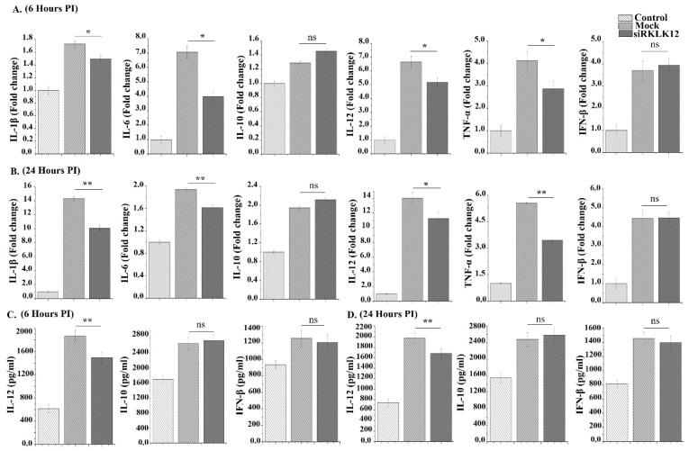 https://cdn.ncbi.nlm.nih.gov/pmc/blobs/9f3b/6562459/48b119263026/cells-08-00415-g006.jpg