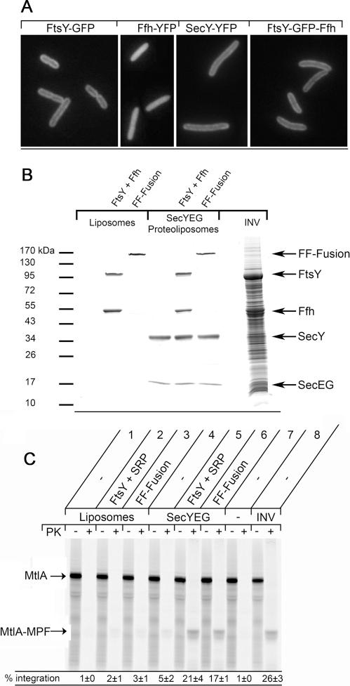 https://cdn.ncbi.nlm.nih.gov/pmc/blobs/9f3d/3128533/cedf202a83f8/2309fig7.jpg