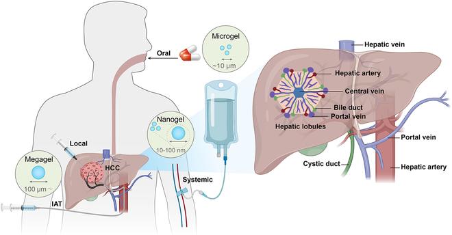 https://cdn.ncbi.nlm.nih.gov/pmc/blobs/9f41/11651419/2673b6ec4c98/research.0477.fig.002.jpg