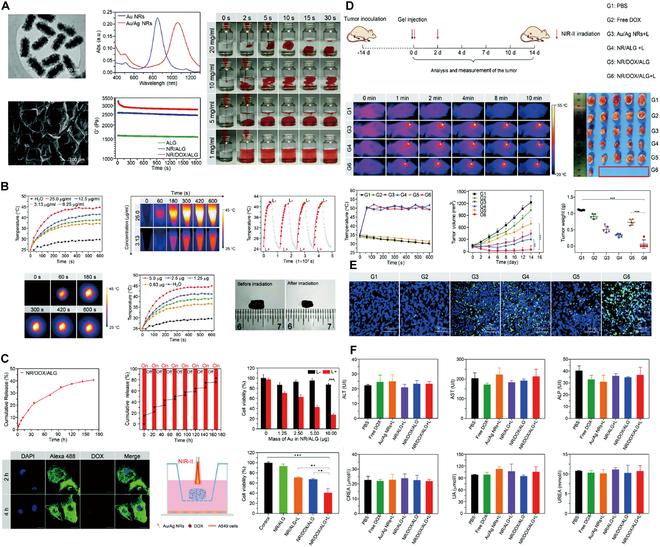 https://cdn.ncbi.nlm.nih.gov/pmc/blobs/9f41/11651419/4fe64d7026ad/research.0477.fig.011.jpg