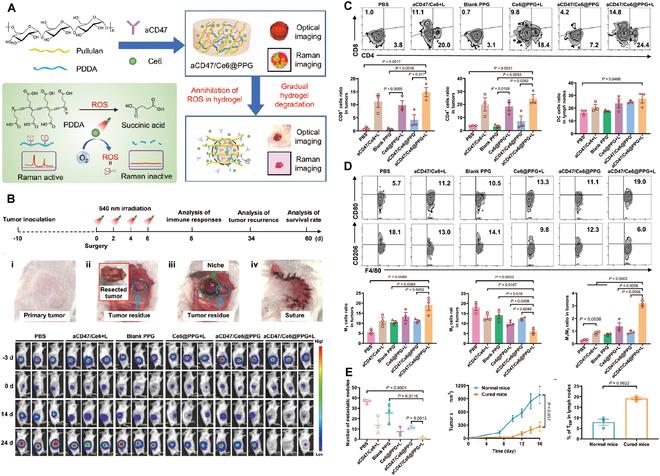 https://cdn.ncbi.nlm.nih.gov/pmc/blobs/9f41/11651419/9627f72fa676/research.0477.fig.012.jpg
