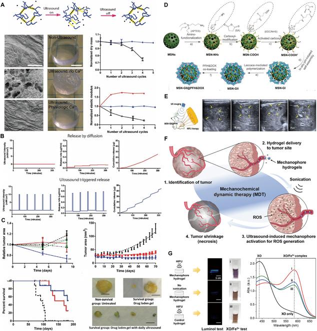 https://cdn.ncbi.nlm.nih.gov/pmc/blobs/9f41/11651419/f4bff930b4d8/research.0477.fig.010.jpg