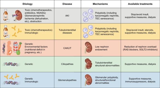 https://cdn.ncbi.nlm.nih.gov/pmc/blobs/9f44/10539214/b2752e1b4065/sfad097fig3.jpg