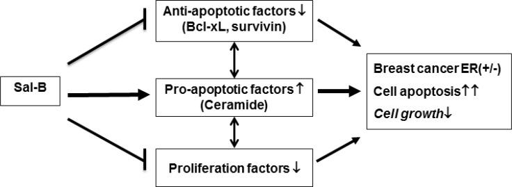 https://cdn.ncbi.nlm.nih.gov/pmc/blobs/9f6d/6284743/4ade7339b2c1/oncotarget-09-36331-g007.jpg