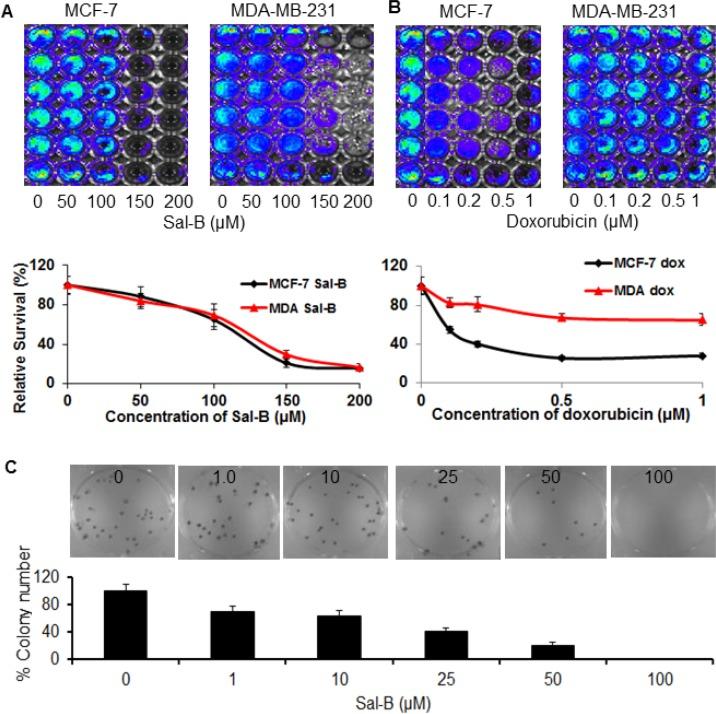 https://cdn.ncbi.nlm.nih.gov/pmc/blobs/9f6d/6284743/907fbbad4204/oncotarget-09-36331-g001.jpg