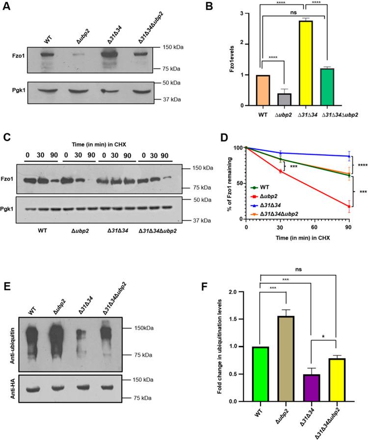 https://cdn.ncbi.nlm.nih.gov/pmc/blobs/9f76/12251144/7f19376a990b/pgen.1011353.g004.jpg