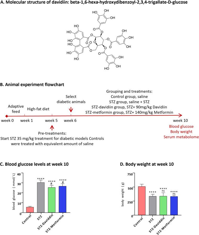 https://cdn.ncbi.nlm.nih.gov/pmc/blobs/9f77/11162635/11c4576a1e85/DDDT-18-1981-g0001.jpg