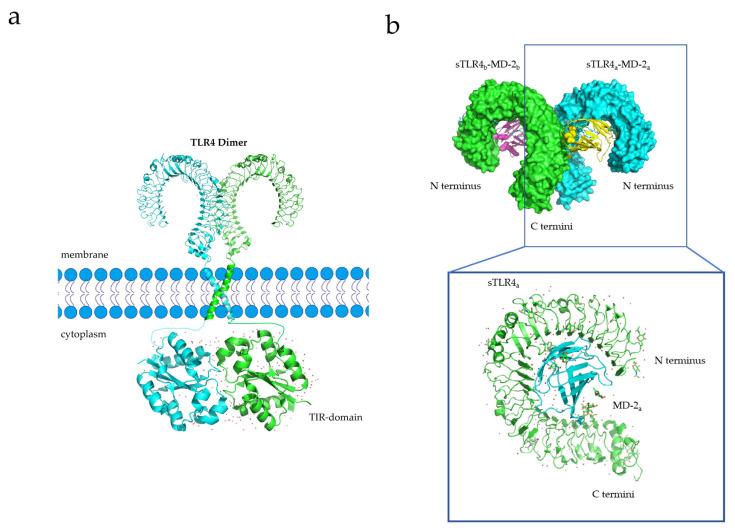 https://cdn.ncbi.nlm.nih.gov/pmc/blobs/9f85/10143916/9db3eac40b27/membranes-13-00393-g003.jpg