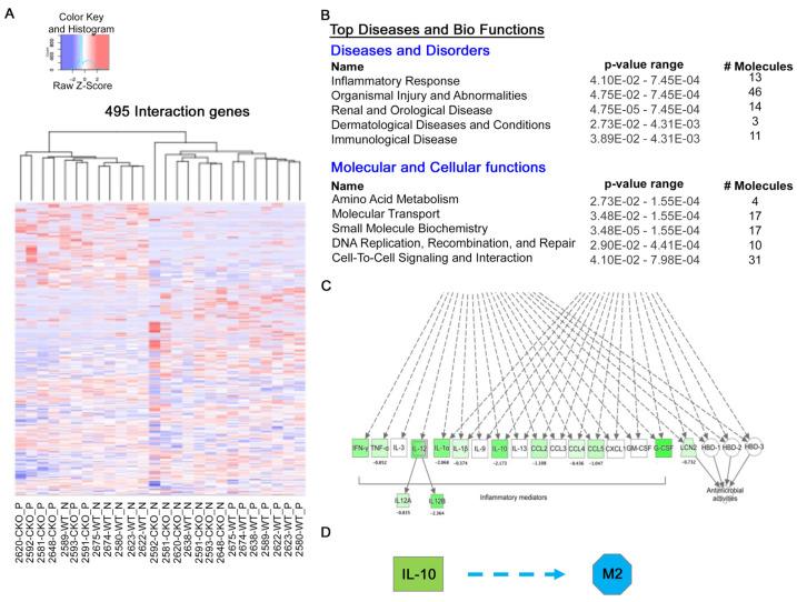 https://cdn.ncbi.nlm.nih.gov/pmc/blobs/9fa1/11641819/68fec482a188/ijms-25-13120-g005.jpg