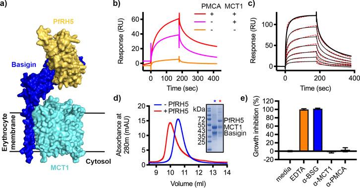https://cdn.ncbi.nlm.nih.gov/pmc/blobs/9fc1/10569788/05334ddafb40/elife-83681-fig3.jpg