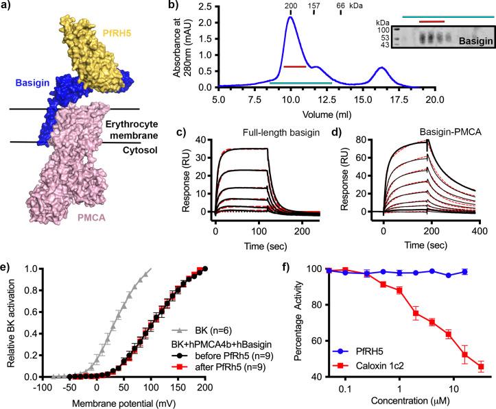 https://cdn.ncbi.nlm.nih.gov/pmc/blobs/9fc1/10569788/0678e3f29809/elife-83681-fig2.jpg