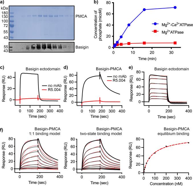 https://cdn.ncbi.nlm.nih.gov/pmc/blobs/9fc1/10569788/80838b82531c/elife-83681-fig2-figsupp1.jpg