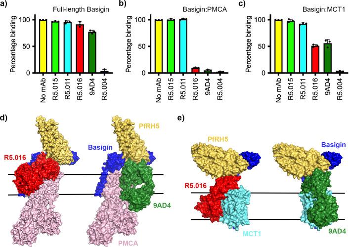https://cdn.ncbi.nlm.nih.gov/pmc/blobs/9fc1/10569788/bc7c8bd50409/elife-83681-fig4.jpg