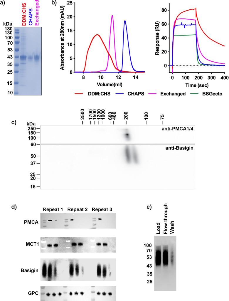 https://cdn.ncbi.nlm.nih.gov/pmc/blobs/9fc1/10569788/d3178d6be8c8/elife-83681-fig1-figsupp1.jpg