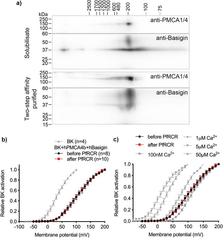 https://cdn.ncbi.nlm.nih.gov/pmc/blobs/9fc1/10569788/fabf37baa4a9/elife-83681-fig2-figsupp2.jpg