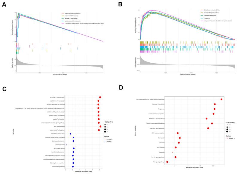 https://cdn.ncbi.nlm.nih.gov/pmc/blobs/9fc2/7906216/45299d6b3d8e/aging-13-202351-g004.jpg