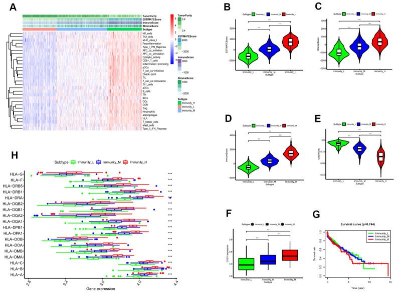 https://cdn.ncbi.nlm.nih.gov/pmc/blobs/9fc2/7906216/612e933d65c3/aging-13-202351-g003.jpg