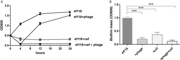 https://cdn.ncbi.nlm.nih.gov/pmc/blobs/9fd2/8322680/f8d6a1978580/fcimb-11-698807-g004.jpg