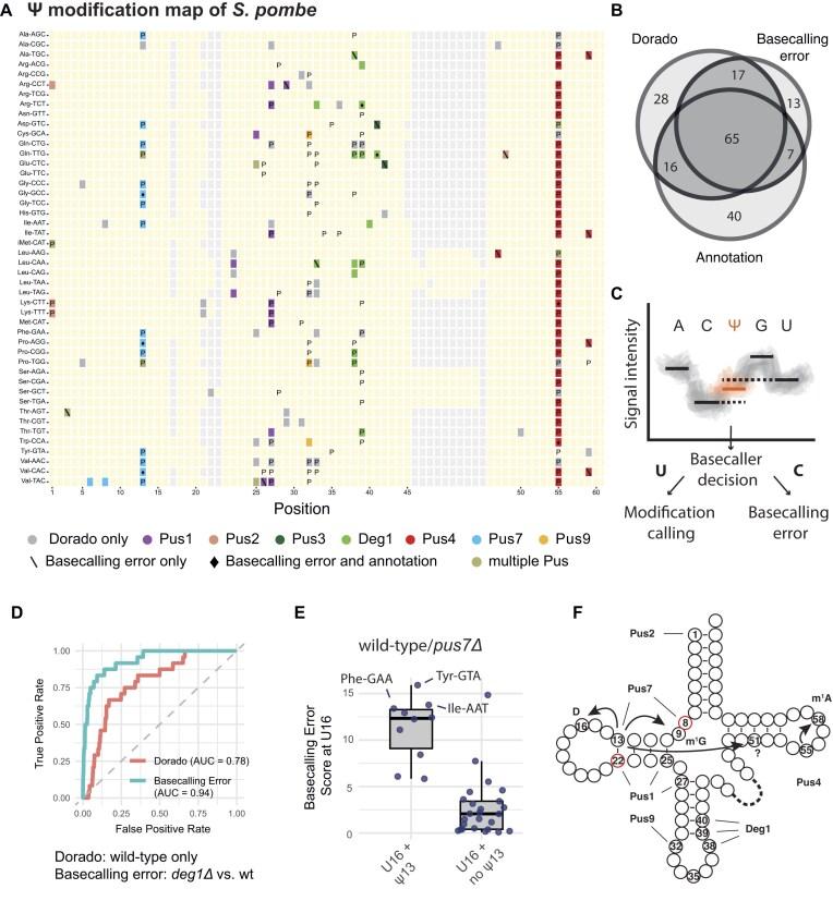 https://cdn.ncbi.nlm.nih.gov/pmc/blobs/9fdc/12362250/79891b95ae03/gkaf795fig3.jpg