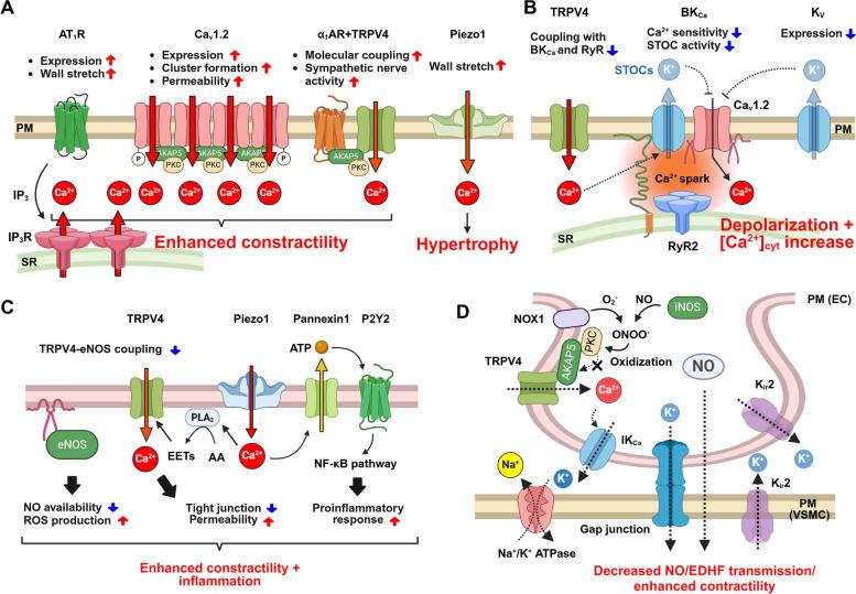 https://cdn.ncbi.nlm.nih.gov/pmc/blobs/9ff8/11673324/52a27278a3ee/41232_2024_363_Fig3_HTML.jpg