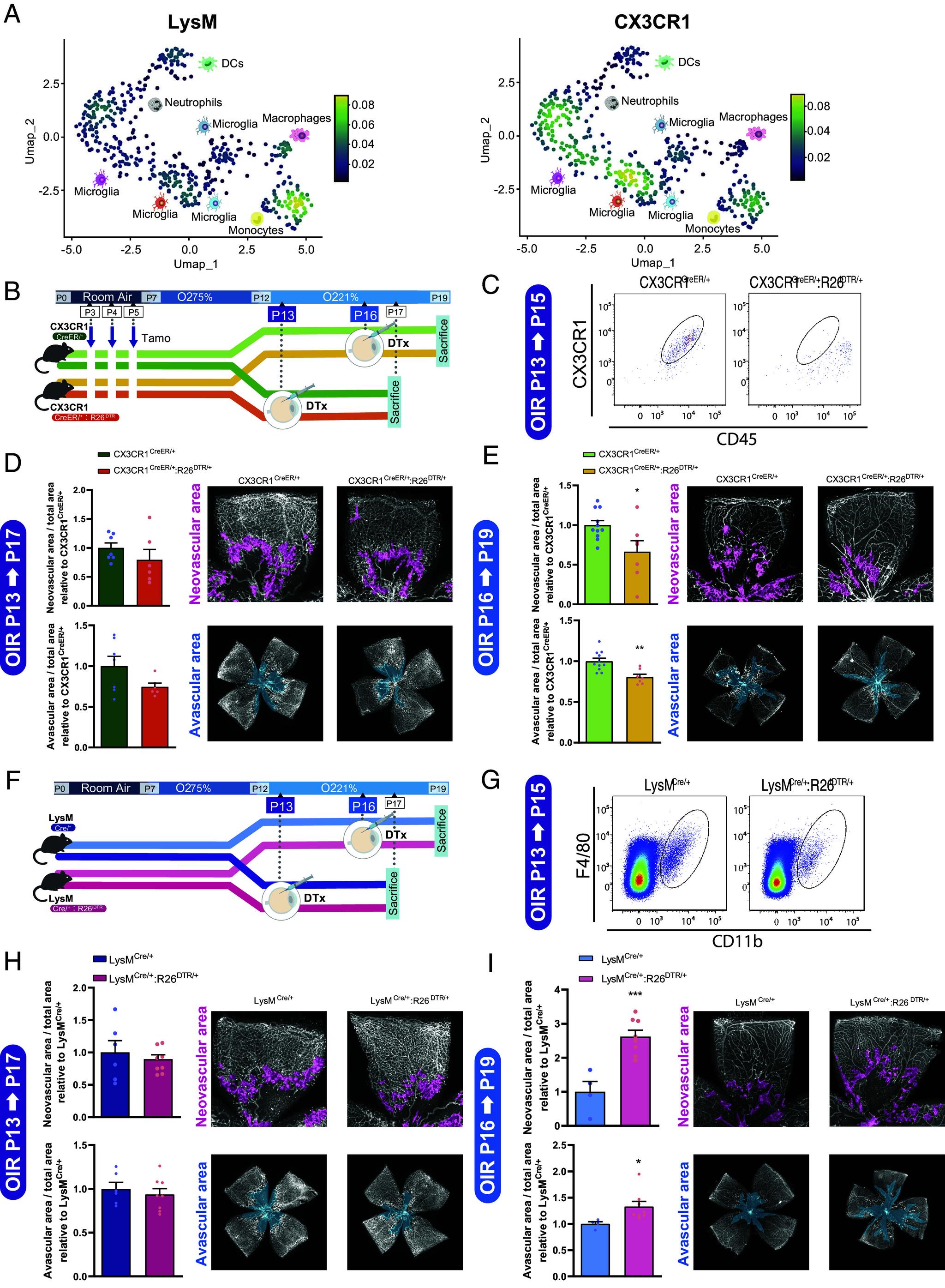 https://cdn.ncbi.nlm.nih.gov/pmc/blobs/a004/11670060/30f20059a29a/pnas.2411640121fig03.jpg