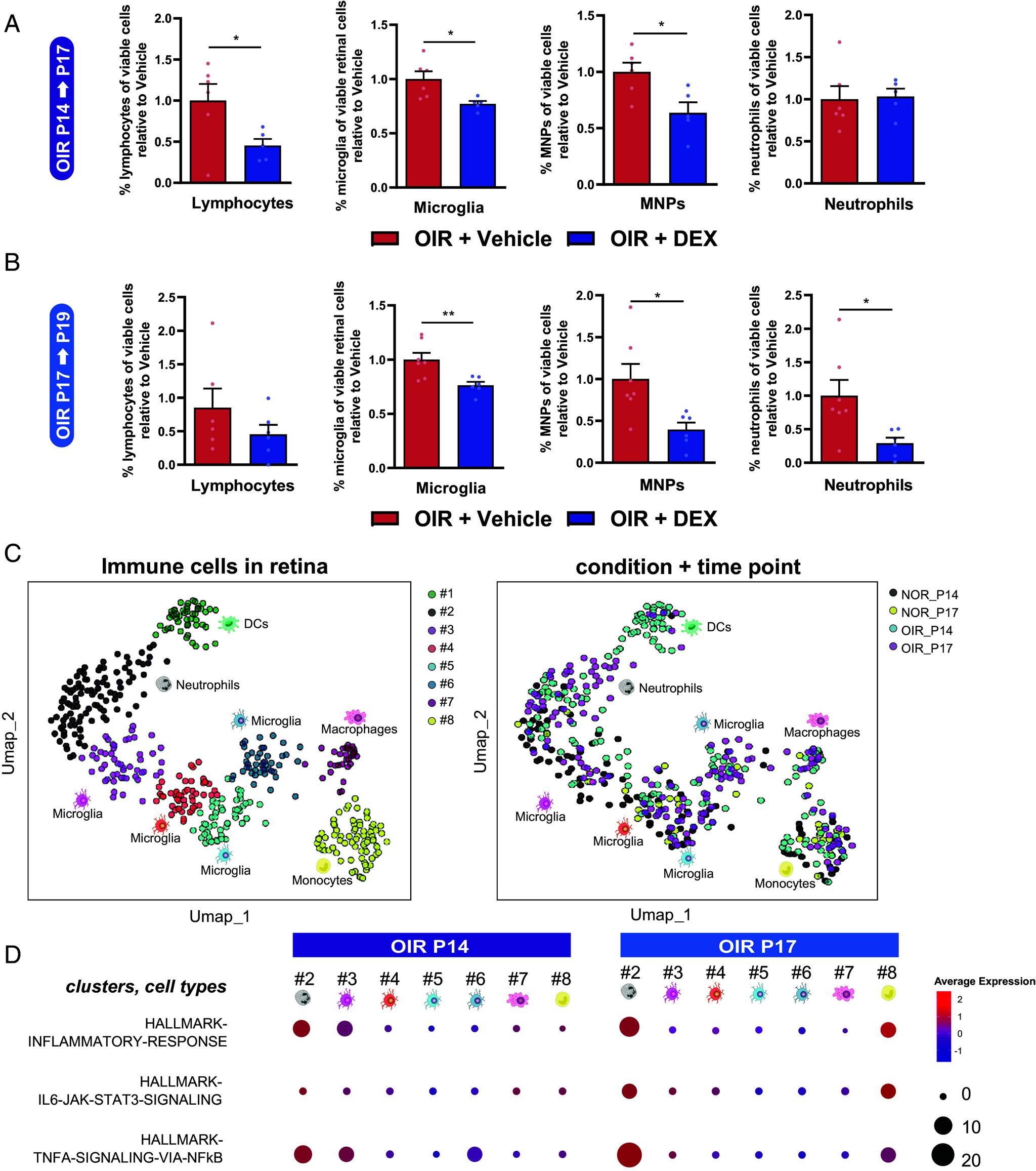 https://cdn.ncbi.nlm.nih.gov/pmc/blobs/a004/11670060/9bc3a1663a81/pnas.2411640121fig02.jpg