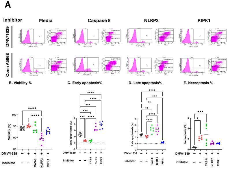 https://cdn.ncbi.nlm.nih.gov/pmc/blobs/a062/12030959/71133b773bf6/viruses-17-00503-g008a.jpg