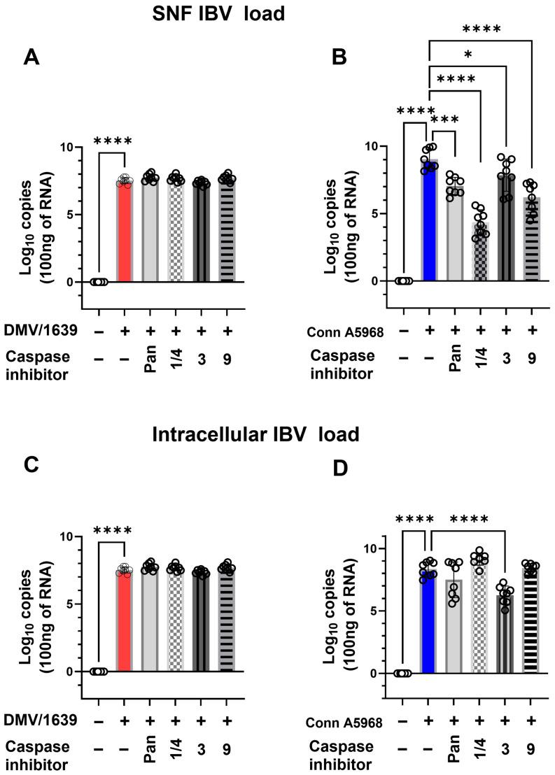 https://cdn.ncbi.nlm.nih.gov/pmc/blobs/a062/12030959/aaf4dbeb26c1/viruses-17-00503-g003.jpg