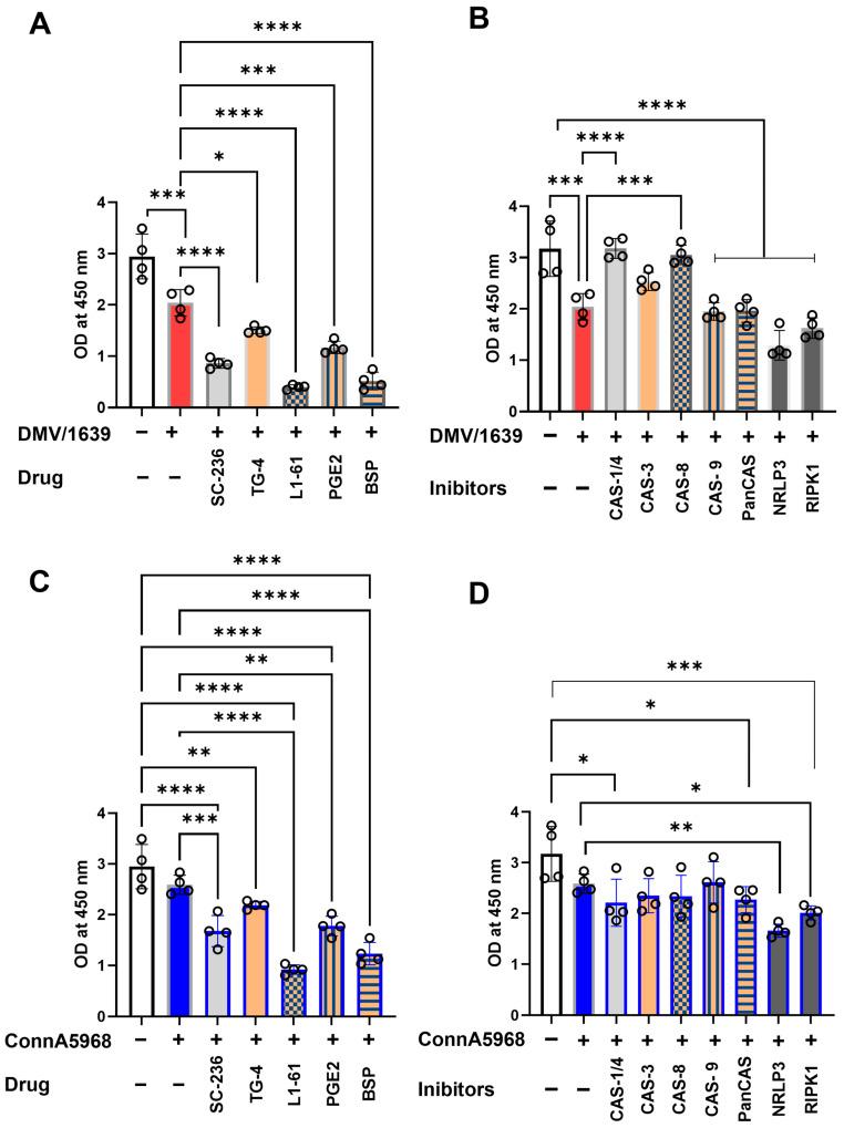https://cdn.ncbi.nlm.nih.gov/pmc/blobs/a062/12030959/b30e67e81616/viruses-17-00503-g012.jpg