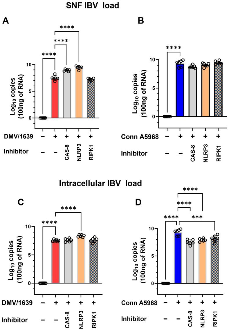 https://cdn.ncbi.nlm.nih.gov/pmc/blobs/a062/12030959/b52cd7cc2a6f/viruses-17-00503-g007.jpg