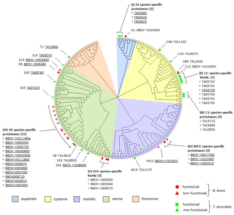 https://cdn.ncbi.nlm.nih.gov/pmc/blobs/a080/9965338/35dc331ae9de/pathogens-12-00237-g001.jpg