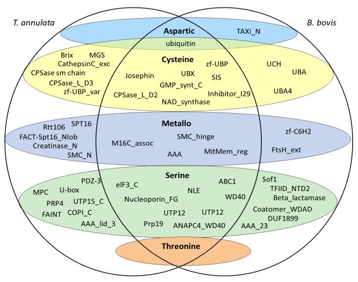 https://cdn.ncbi.nlm.nih.gov/pmc/blobs/a080/9965338/5dc14e352643/pathogens-12-00237-g002.jpg