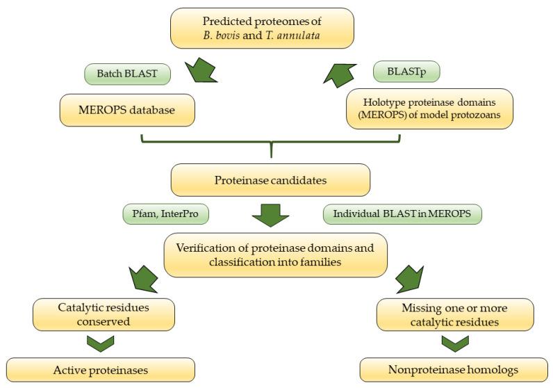 https://cdn.ncbi.nlm.nih.gov/pmc/blobs/a080/9965338/7570731b7d44/pathogens-12-00237-g003.jpg