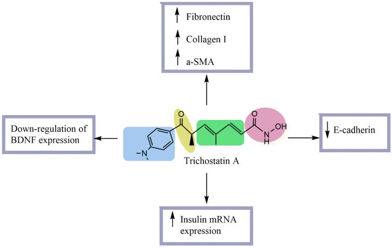 https://cdn.ncbi.nlm.nih.gov/pmc/blobs/a0c2/9612318/1250f0092b1f/pharmaceuticals-15-01235-g003.jpg